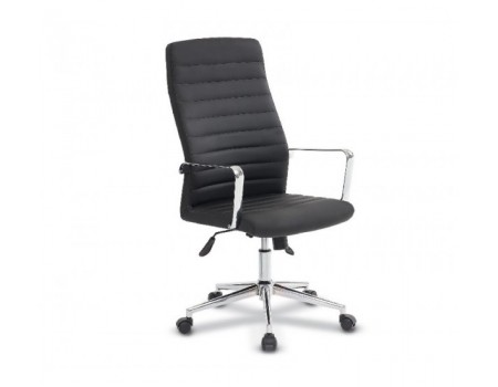 RİO MÜDÜR KOLTUĞU